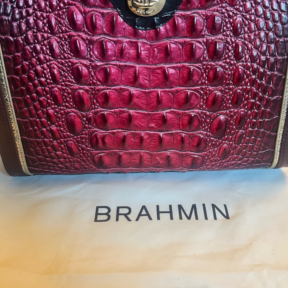 Brahmin Alonna Laskspur Leather Purse
